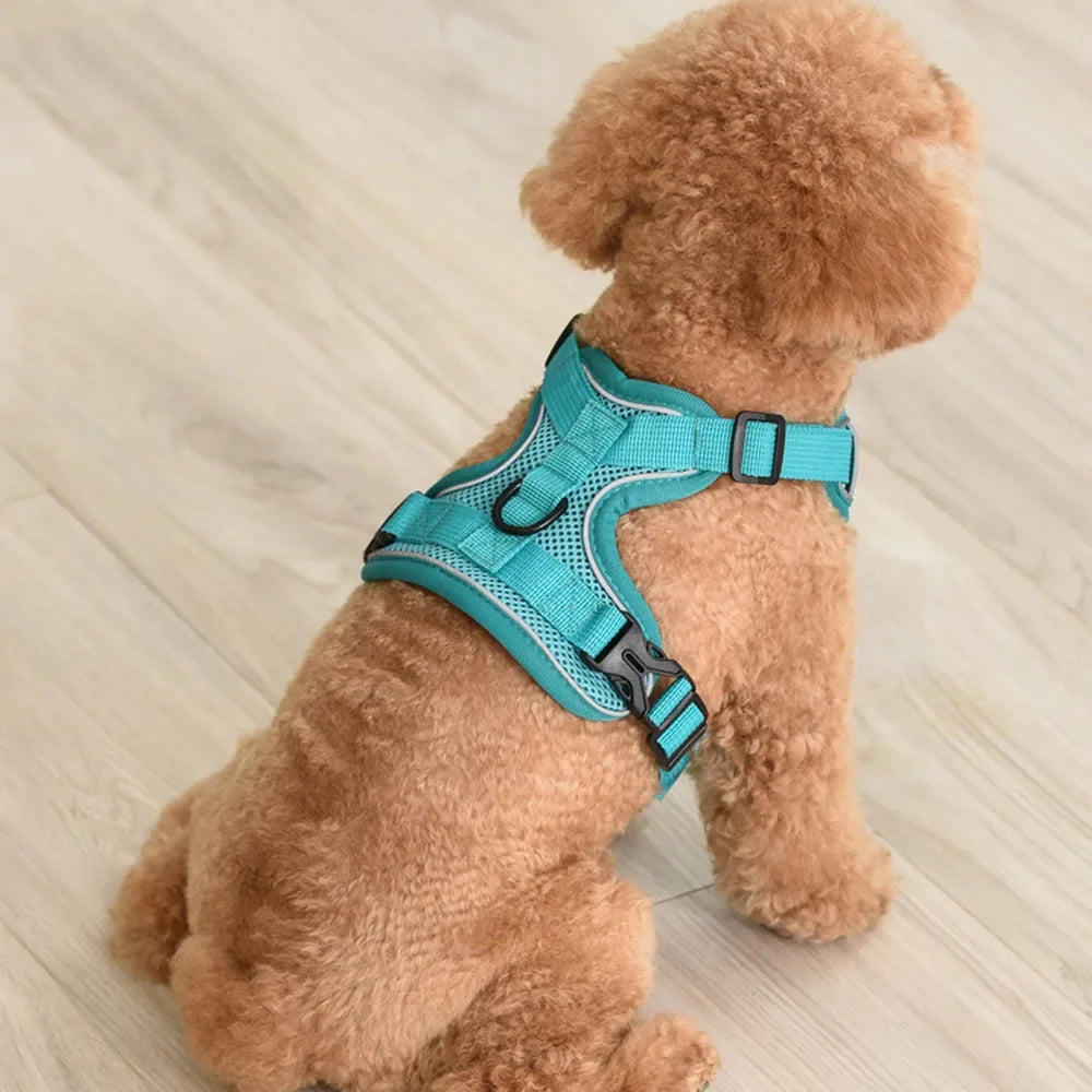 Adjustable Dog Harness with Leash - Soft & Breathable