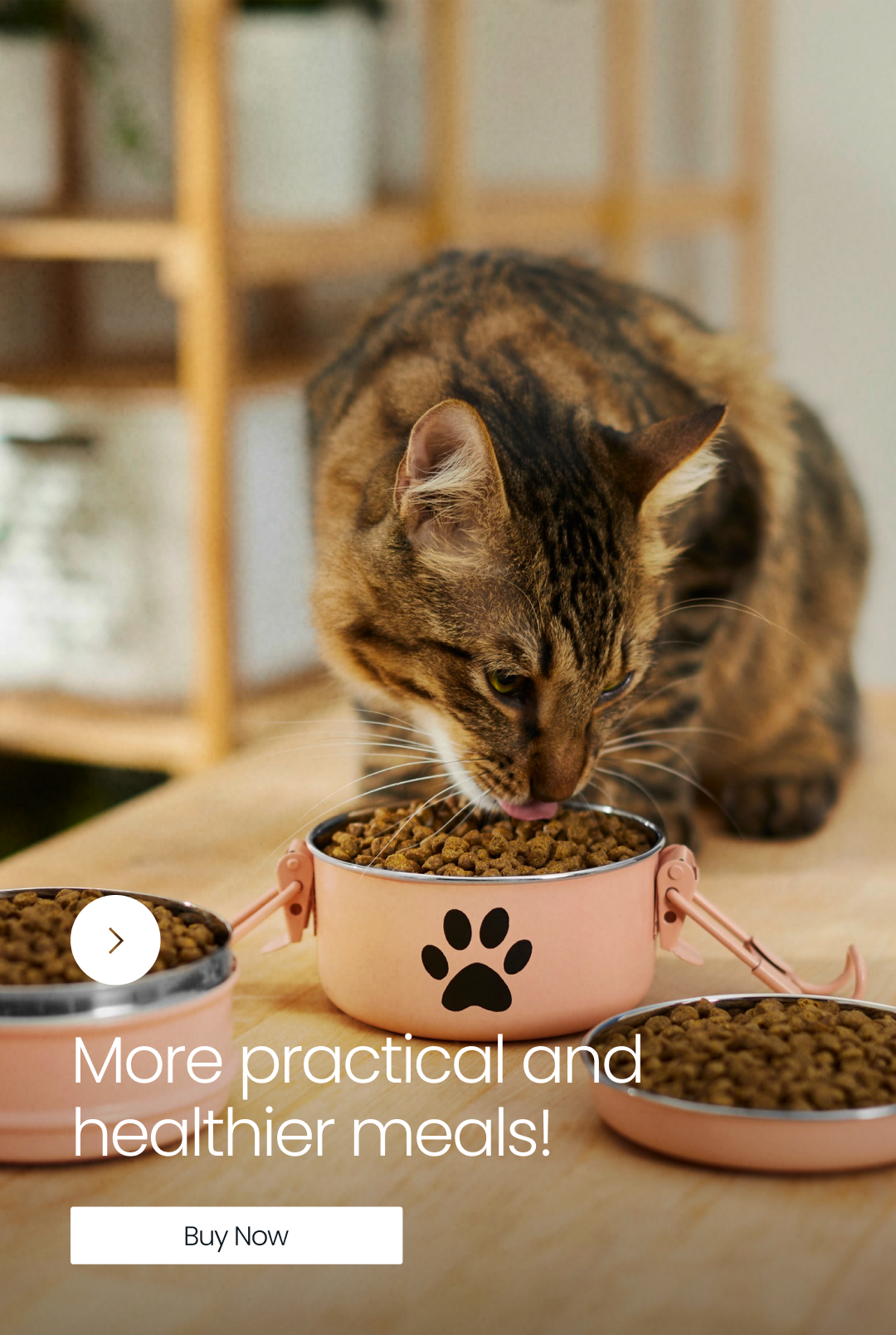 Bowls & Feeders