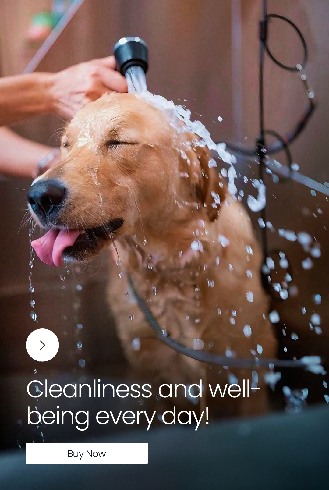 Pet Care Essentials