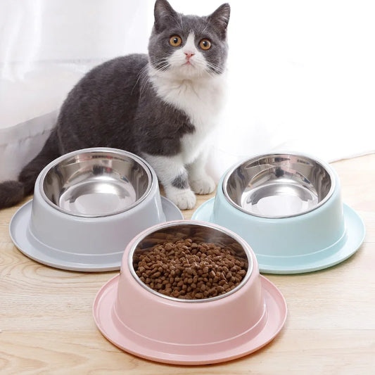 Anti-Ant Stainless Steel Cat Feeder Bowl