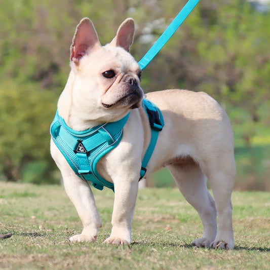 Adjustable Dog Harness with Leash - Soft & Breathable