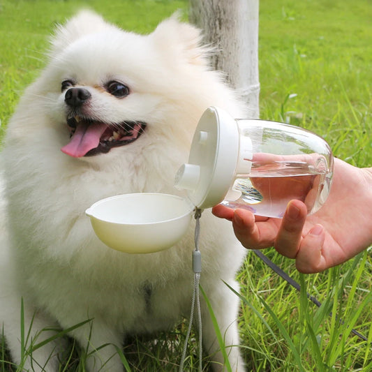 2-in-1 Portable Pet Feeder & Water Dispenser