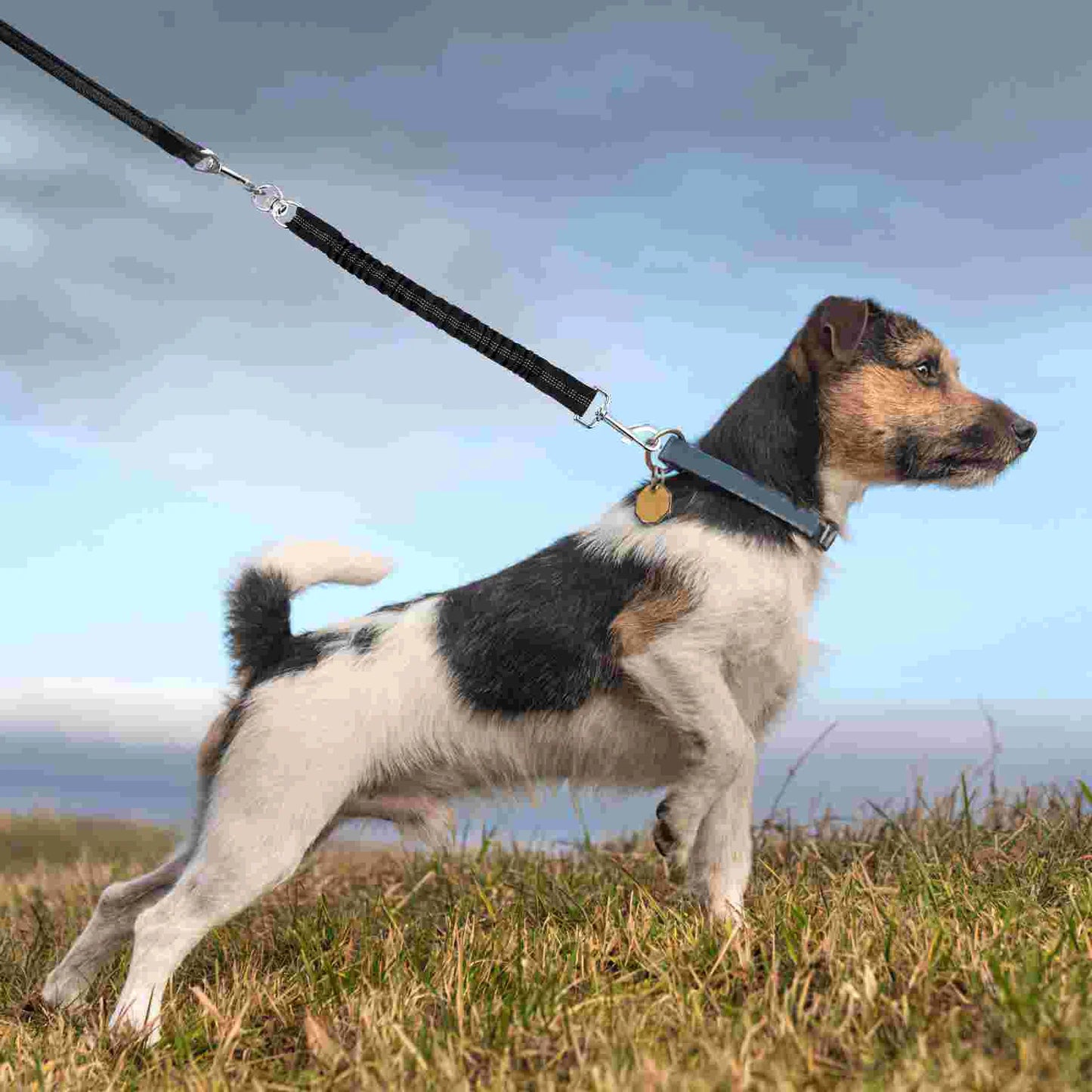Reflective Dog Leash Extension - Bungee Training Extender