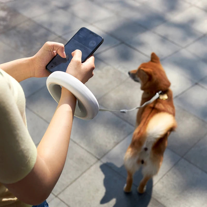 Retractable Dog Leash with LED Light