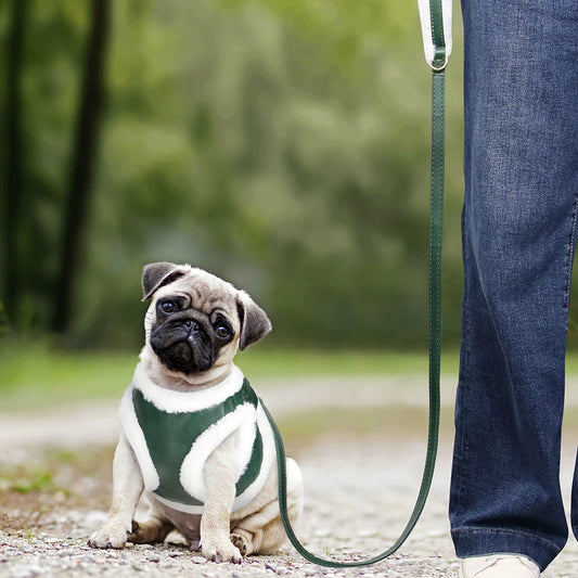Cozy Winter Dog Harness & Leash Set - Plush & Warm