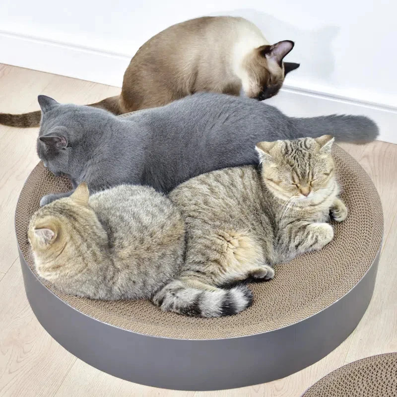 Oval & Round Cardboard Cat Scratcher Bed