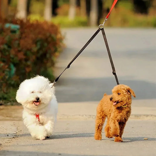 Nylon Double Leash for Walking Two Small Dogs