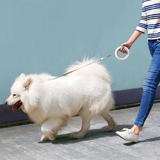 Retractable Dog Leash with LED Light