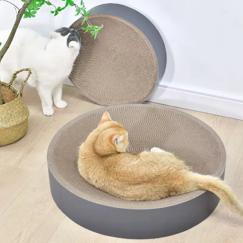 Oval & Round Cardboard Cat Scratcher Bed