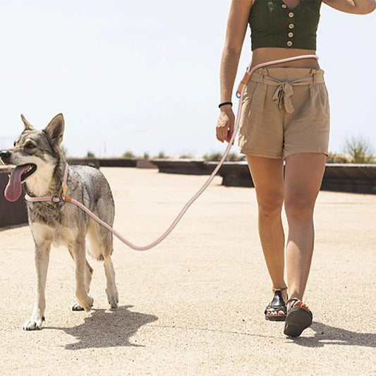 Hands-Free Adjustable Dog Leash for Running & Walking
