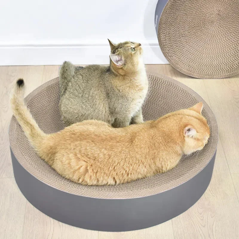 Oval & Round Cardboard Cat Scratcher Bed