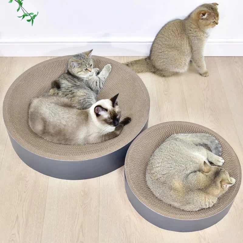 Oval & Round Cardboard Cat Scratcher Bed