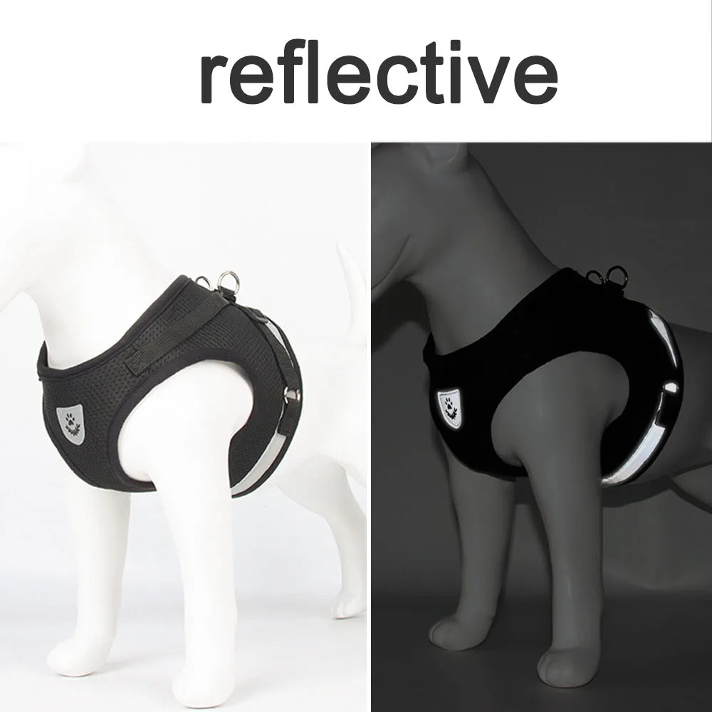 Adjustable Reflective Pet Harness and Leash Set