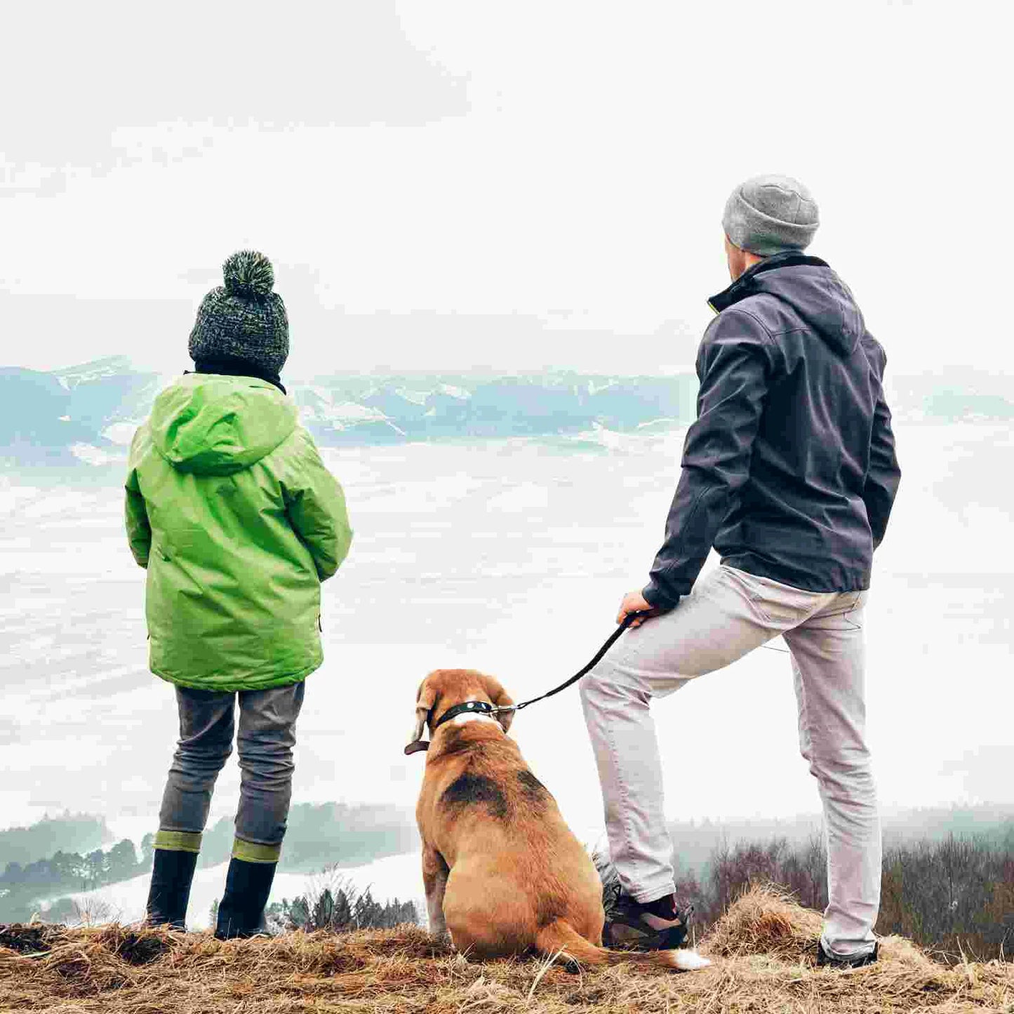 Reflective Dog Leash Extension - Bungee Training Extender