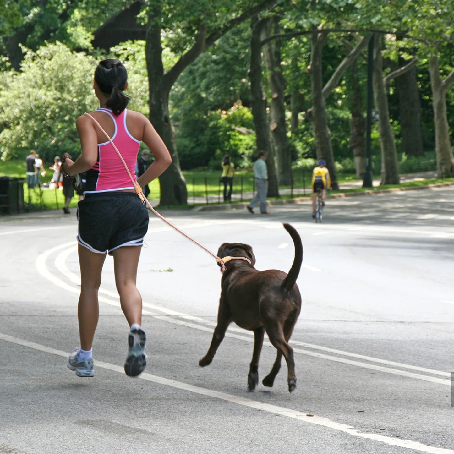 Hands-Free Adjustable Dog Leash for Running & Walking